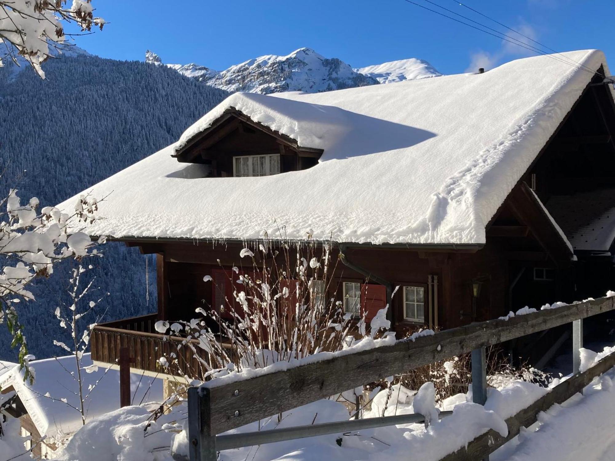 Apartment Bergkristall By Interhome Wengen Buitenkant foto