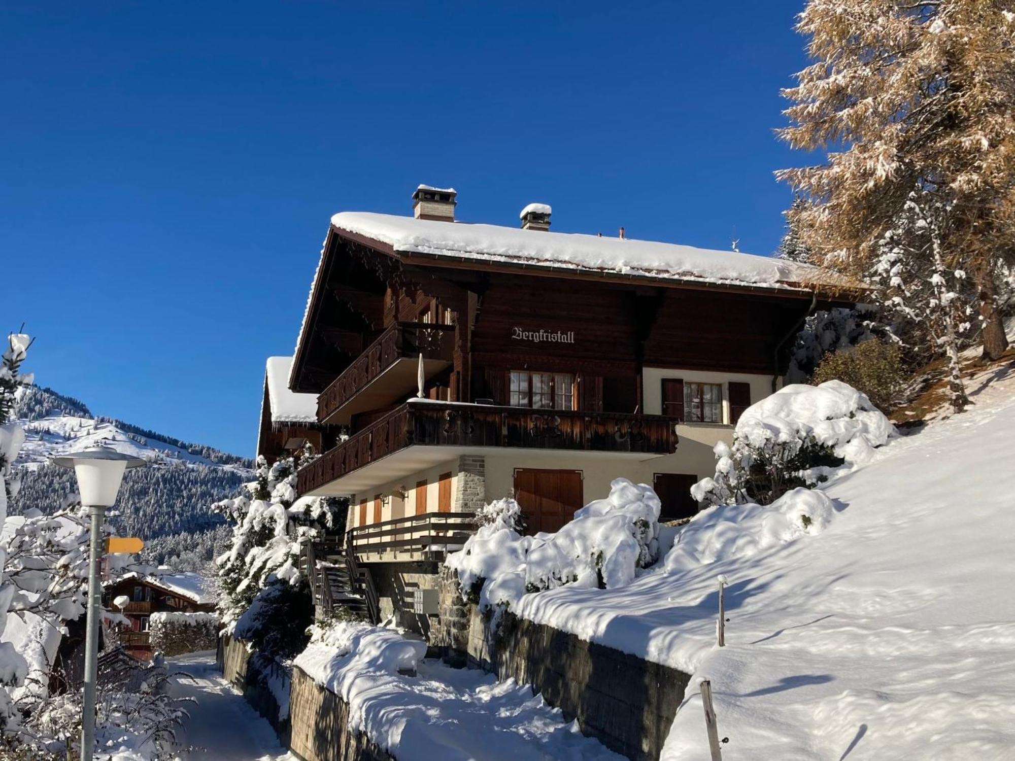 Apartment Bergkristall By Interhome Wengen Buitenkant foto